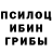 Псилоцибиновые грибы ЛСД Sus_piska