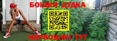 стафф Аргун