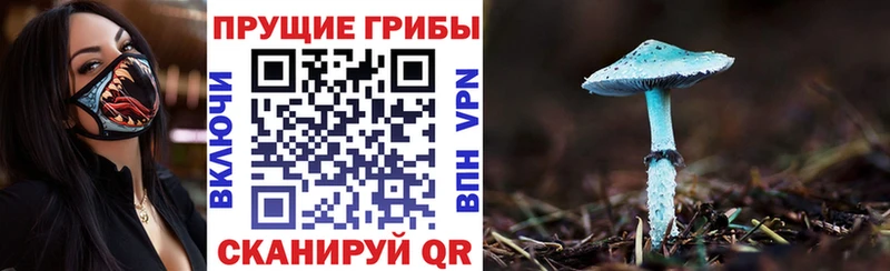 Псилоцибиновые грибы ЛСД  цена   Муравленко 
