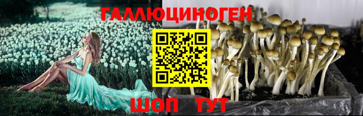 Галлюциногенные грибы ЛСД Муравленко