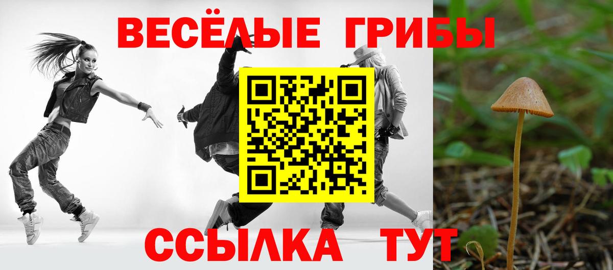 Псилоцибиновые грибы мицелий Муравленко
