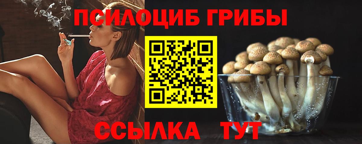 закладка  Вход с VPN  Псилоцибиновые грибы Magic Shrooms  Муравленко  Псилоцибиновые грибы MAGIC MUSHROOMS 