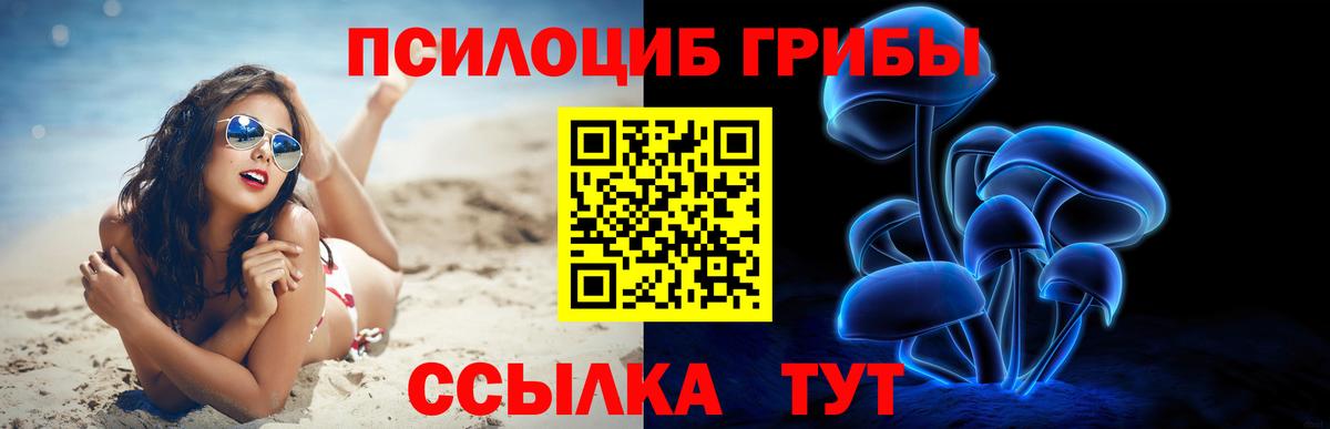 Псилоцибиновые грибы Magic Shrooms  Муравленко 